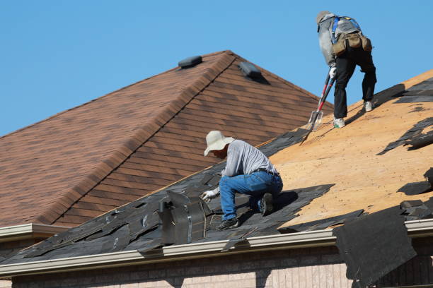 Best Roof Insulation Installation  in Holyoke, CO