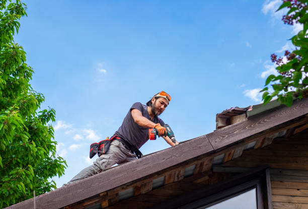 Roof Insulation in Holyoke, CO