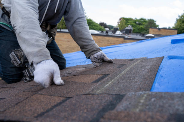 Fast & Reliable Emergency Roof Repairs in Holyoke, CO